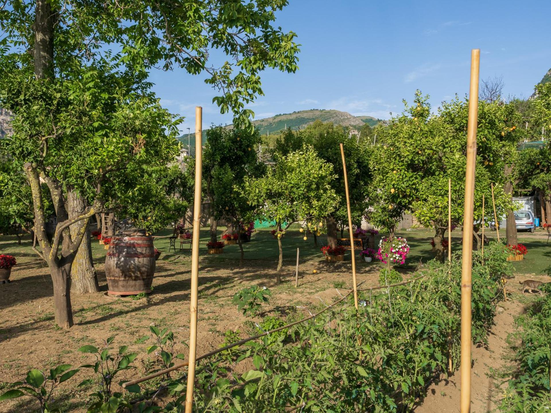 Giardino Di Nonno Lucio - Surrounded By Lemon Tree Villa Piano di Sorrento Eksteriør bilde
