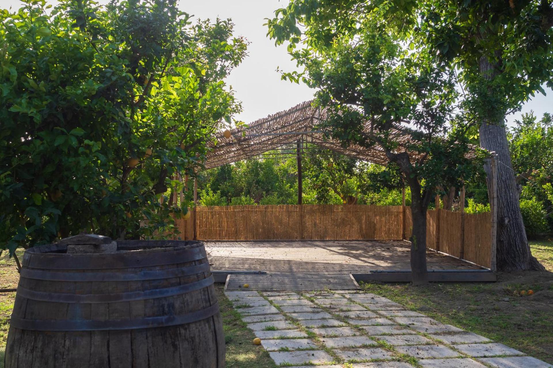Giardino Di Nonno Lucio - Surrounded By Lemon Tree Villa Piano di Sorrento Eksteriør bilde